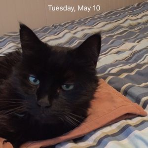 Meet your Posher, Sandy